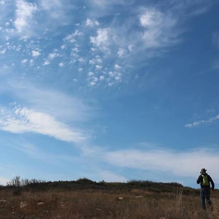 La Petite Planete Ξενοδοχείο Mykines Εξωτερικό φωτογραφία