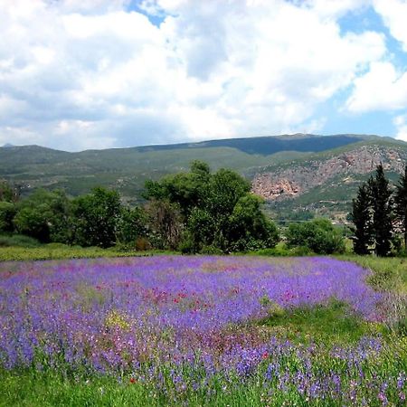 La Petite Planete Ξενοδοχείο Mykines Εξωτερικό φωτογραφία