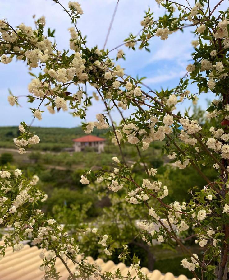 La Petite Planete Ξενοδοχείο Mykines Εξωτερικό φωτογραφία