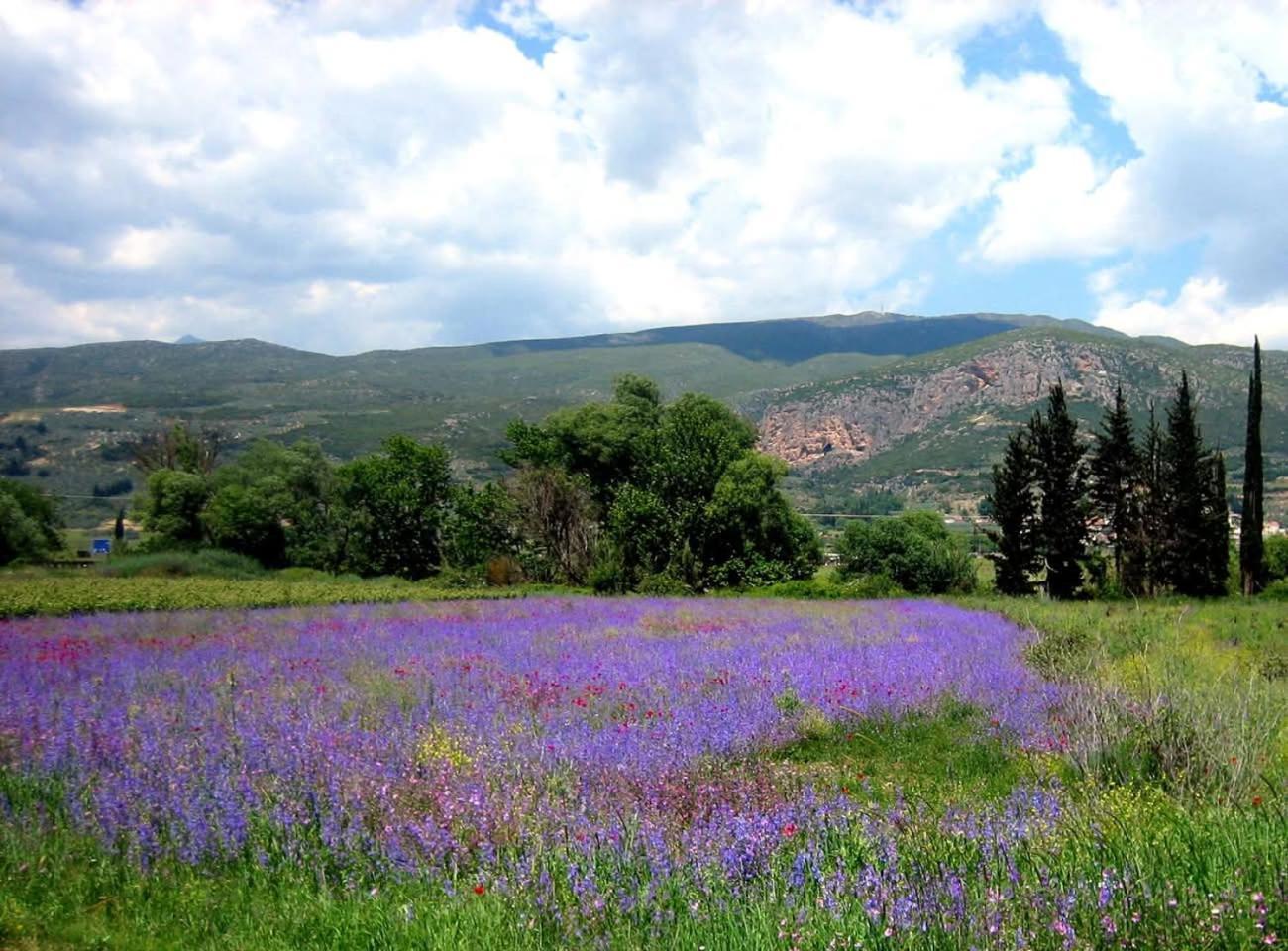 La Petite Planete Ξενοδοχείο Mykines Εξωτερικό φωτογραφία