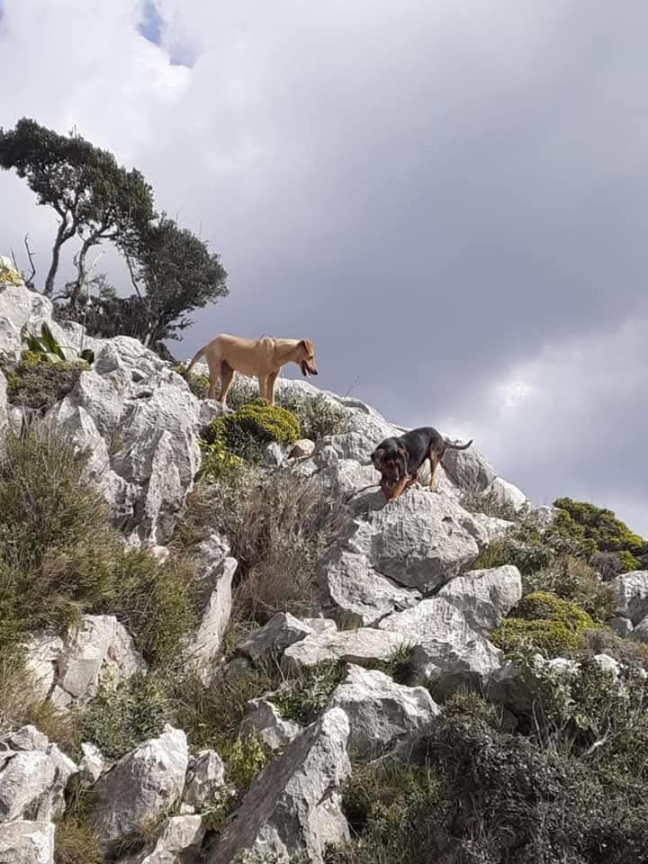 La Petite Planete Ξενοδοχείο Mykines Εξωτερικό φωτογραφία