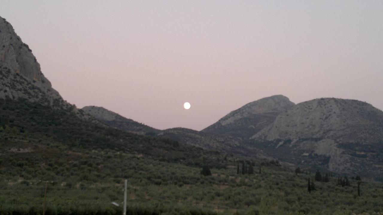 La Petite Planete Ξενοδοχείο Mykines Εξωτερικό φωτογραφία